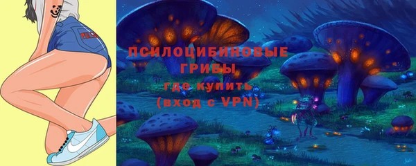 винт Ладушкин